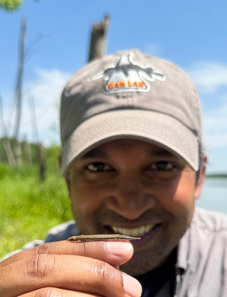 A fish scientist holds a small gar (fish) on his finger, with his face in the background. 