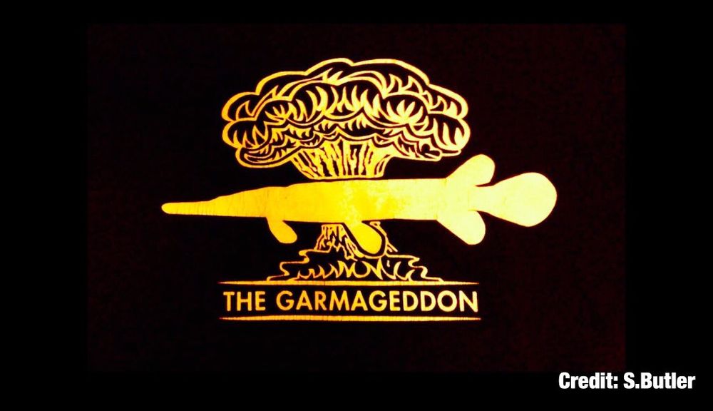 The yellow silhouette of a gar (fish) is illustrated with a mushroom cloud explosion behind it. The words “The Garmageddon” read across the bottom of the image (a play on “Armageddon”). 

Credit: S. Butler for the illustration. 