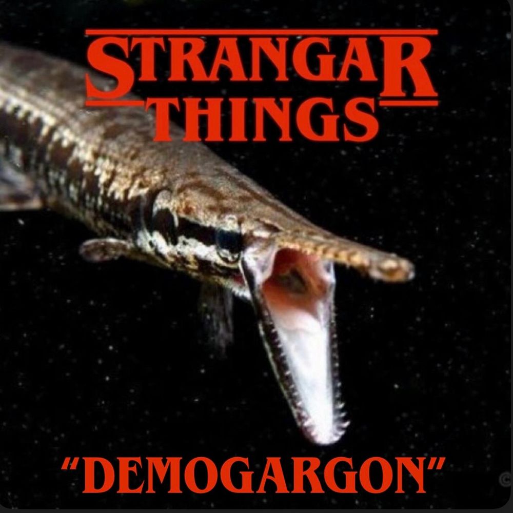 Photo of a gar (fish) with its mouth open. Text in the font style of the tv show “Stranger Things” is displayed across the top of the image. Stranger is spelled “Strangar”
