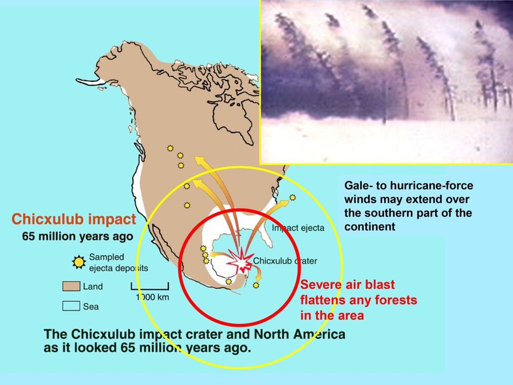 Map of the asteroid impact that wiped out dinosaurs (should be corrected to 66 million years ago). 
Graphic by D.A. Kring. 