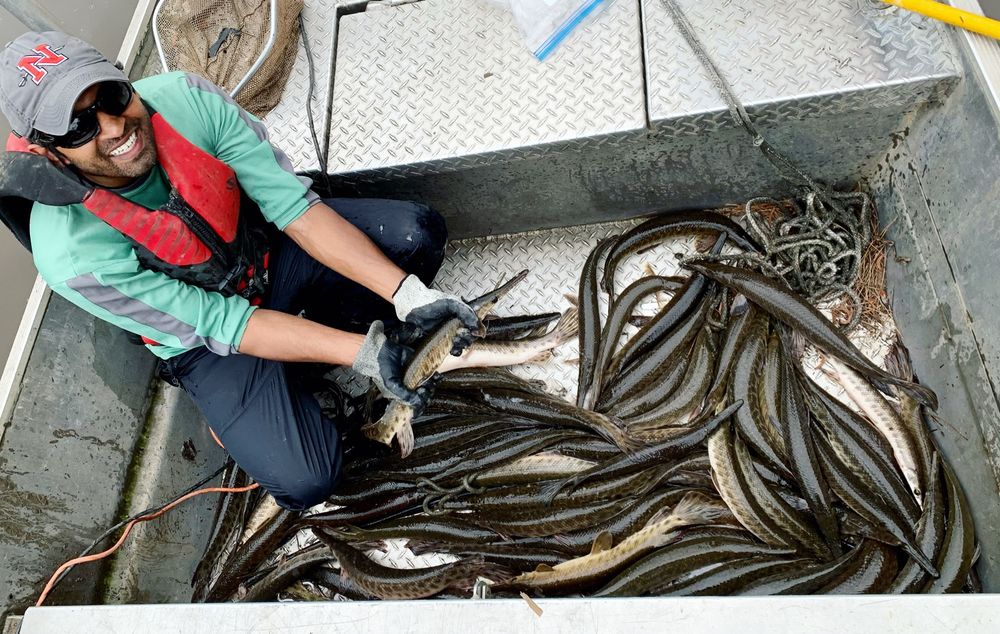 A gar scientist sits in a boat full of gars. All fish were safely released alive. 