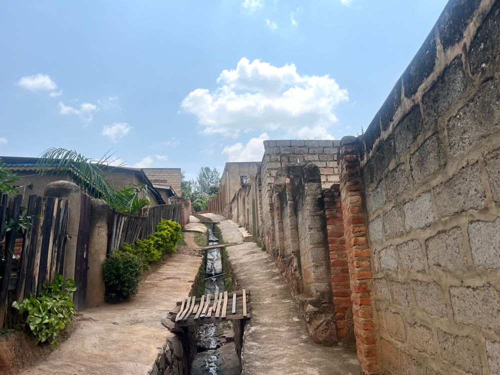 A passage way with a drainage channel down the middle, some wooden planks at intervals across the drainage channel and walls, gates, and green plants either side. 