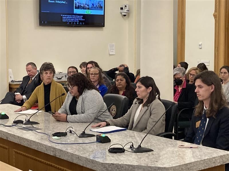 Brizai gives testimony at a table with three others speaking into the microphone at the Capitol. 
