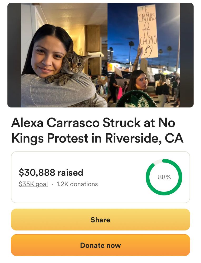 Alexa Carrasco Struck at No Kings Protest in Riverside, CA
$30,888 raised
$35K goal • 1.2K donations