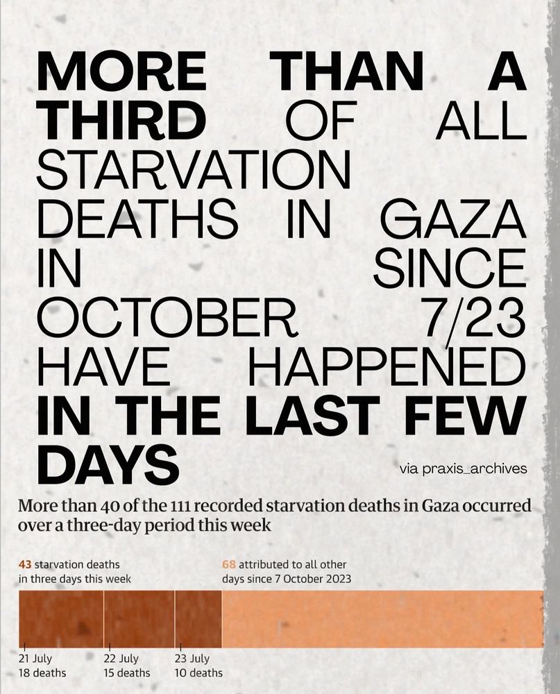 A graphic of text that says: MORE THAN A THIRD OF ALL STARVATION DEATHS IN GAZA SINCE OCTOBER 2023 HAVE HAPPENED IN THE LAST FEW DAYS via praxis archives
More than 40 of the 111 recorded starvation deaths in Gaza occurred over a three-day period this week. 