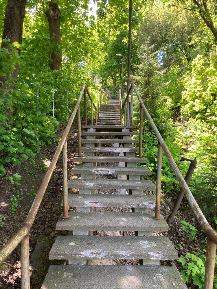 Narrow stairs leading up among in the midst of lush vegetation. 