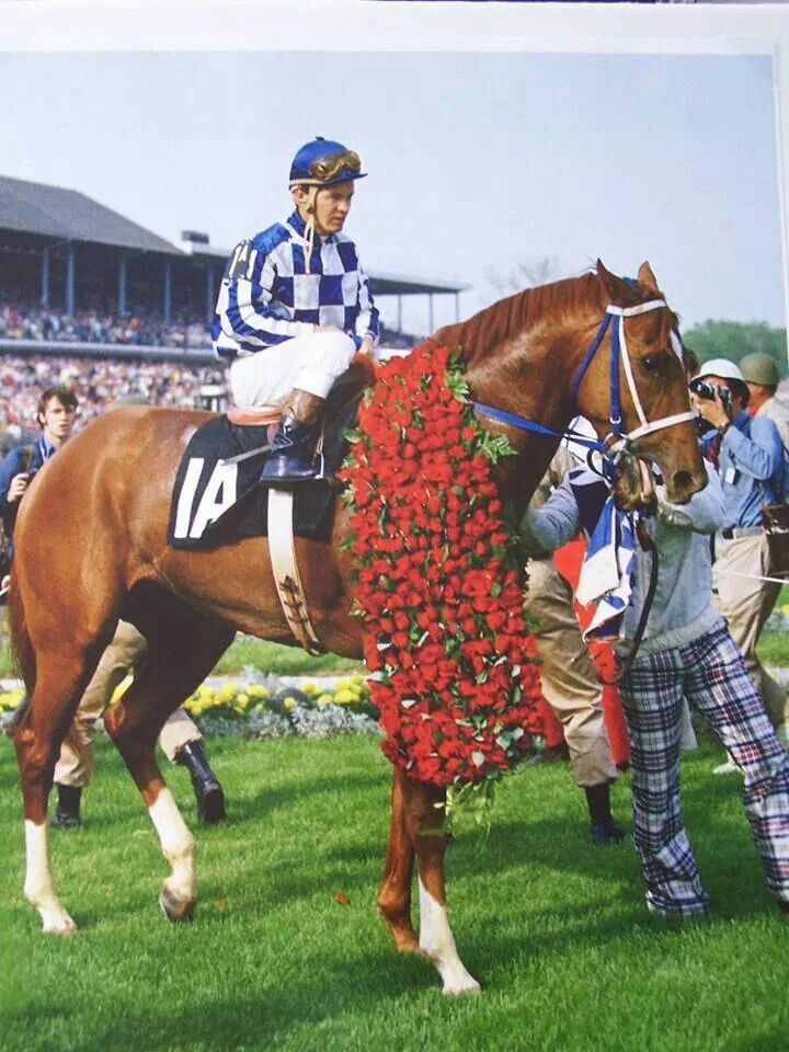 A picture of Secretariat at the Kentucky Derby