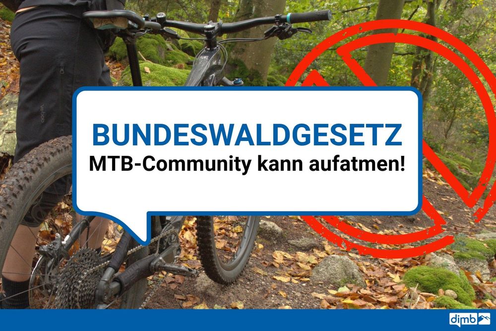 Bundeswaldgesetz: MTB-Community kann aufatmen