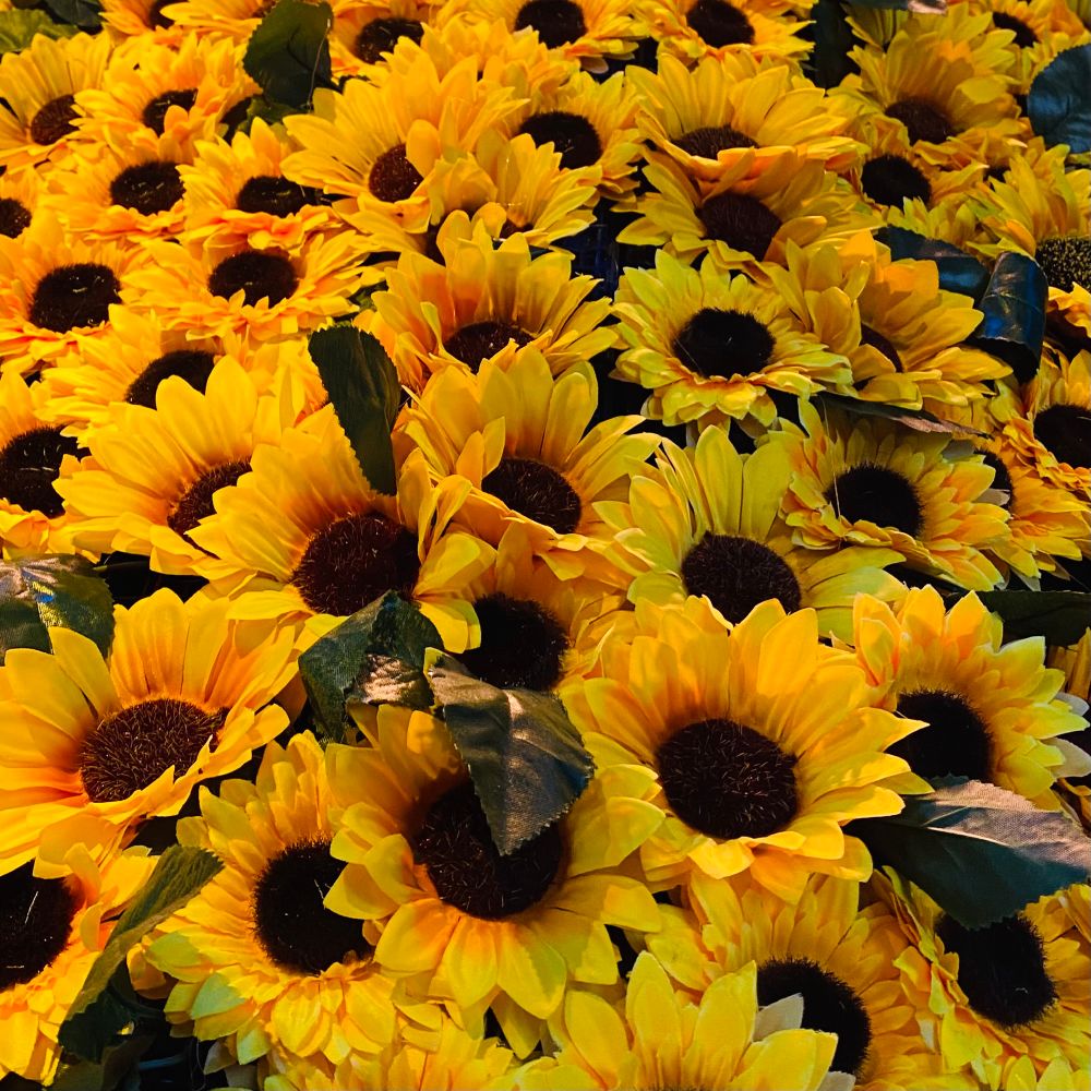 Close shot of a curved wall covered with artificial sunflowers. 