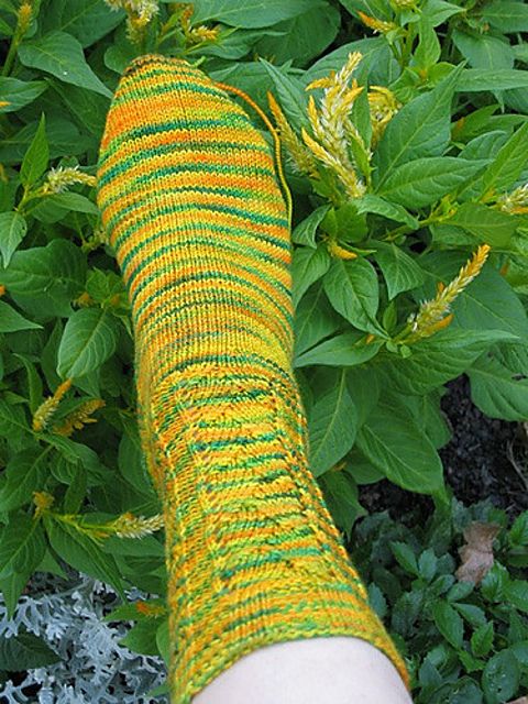 A sock clad foot enters the frame the the bottom. The sock is knit in a yellow and green variegated yarn. In the background are garden plants with spiky flowers that are a similar color to the sock yarn. There are mock cables centered down the front of the leg.