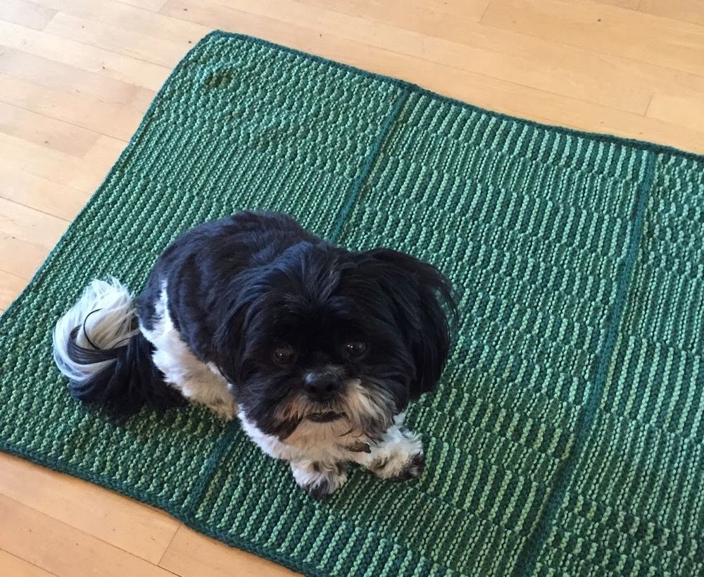 A blanket made from light and dark green lies on a hardwood floor. The blanket is knit with alternating sections of knit garter and purl garter for an interesting offset stripe design. On the dog sits a gorgeous black and white Shih Tzu, looking up at the camera.