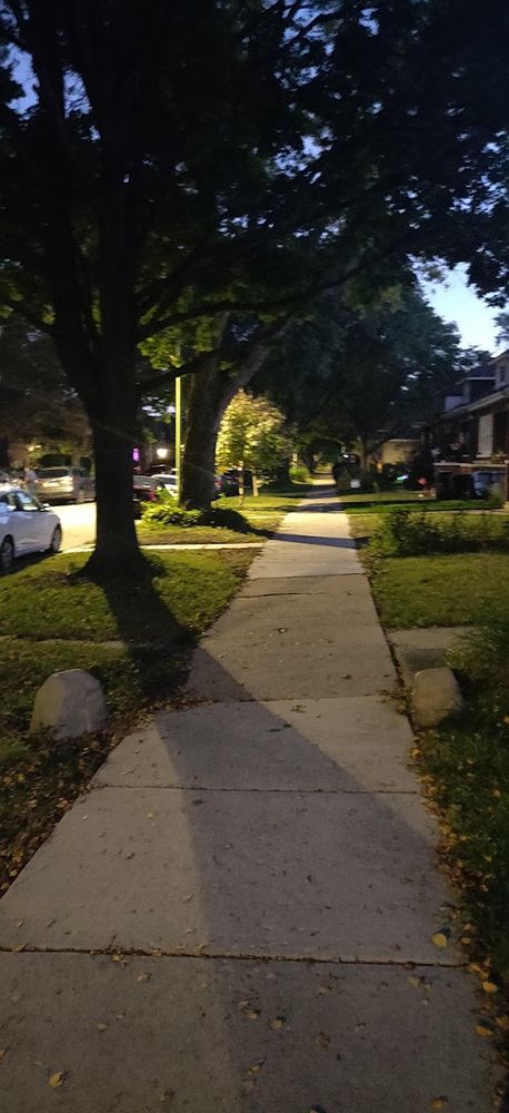 a calm street in the evening in chicago, which is the norm and a contrast to the lies dribbled out by kristi noem and other human garbage.