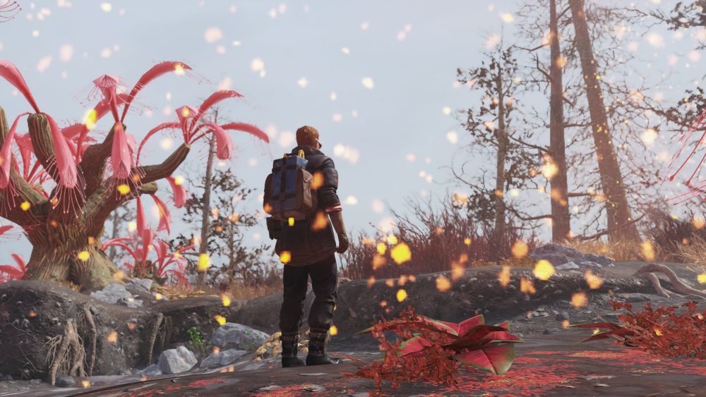 Sundew Grove (can't remember which one right now), Cranberry Bog