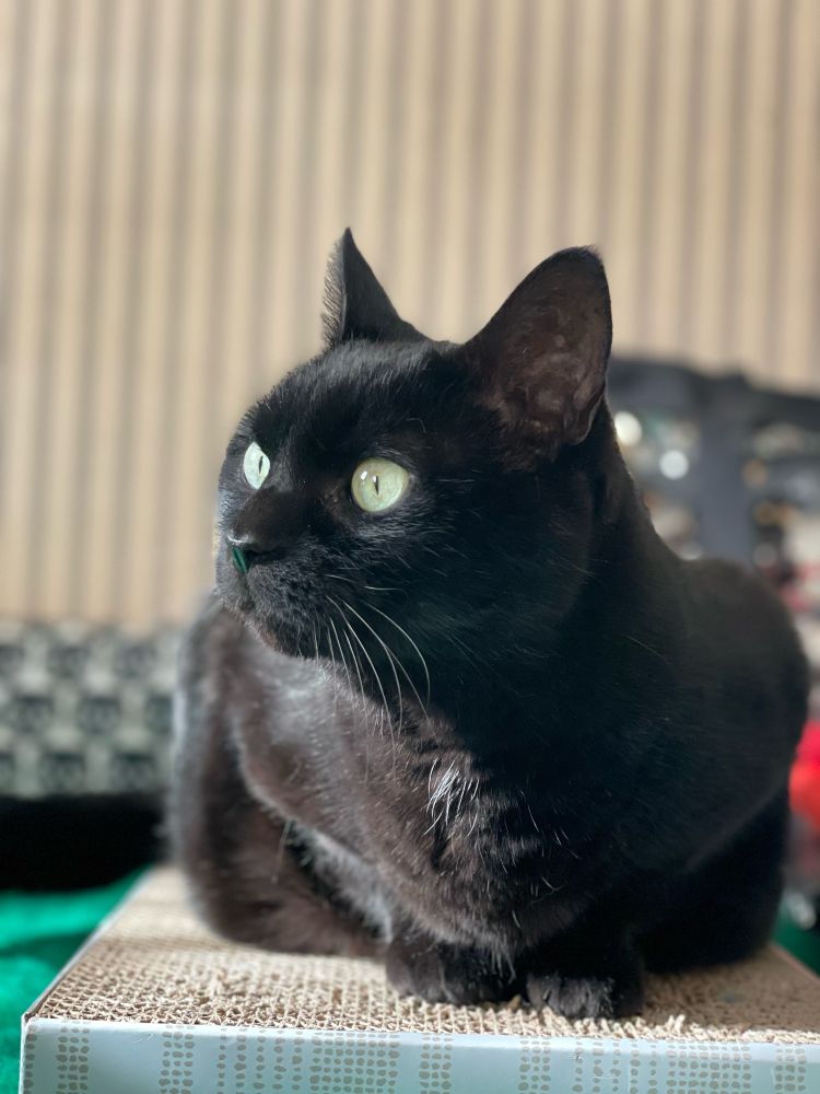 Ellie