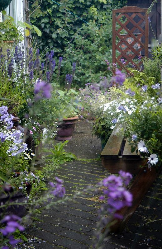 My back yard, a few years ago. It's lot more sparse this year. Mostly greens, purple and white flowers.