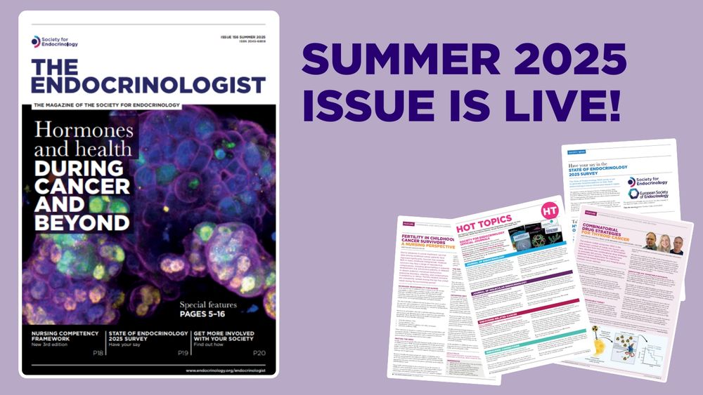 Graphic promoting the Summer 2025 edition of The Endocrinologist is now live.