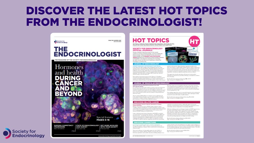 Purple graphic featuring cuts from the summer issue of The Endocrinologist and the Society for Endocrinology logo. Text reads "Discover the latest hot topics from The Endocrinologist!"