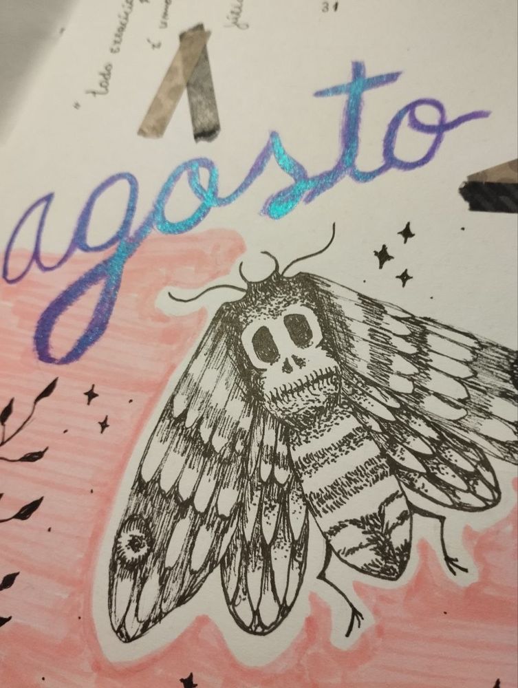 Ilustração de agosto. Mariposa em nanquim super rebuscada. Em seu corpo, manchas da caneta emulam formato de uma triste caveira. 