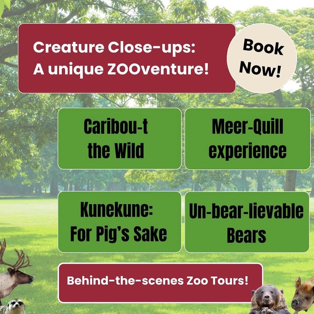 Creature Close-ups: A unique ZOOventure! BOOK NOW! 

Caribou-t the Wild - caribou feeding experience 
Meer-Quill experience - African crested porcupines and meerkats enrichment activity
Kunekune: For Pig's Sake - amazing kunekune pigs snouts 
Un-bear-lievable Bears - learn all about bears and meet our two grizzlies

Details and booking info at the Saskatoon Zoo Society webpage