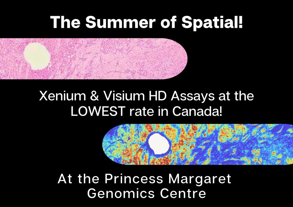 Special discounts on Spatial Genomics 10x Visium and Xenium assays at PMGC Toronto, Canada for Researchers across the globe in need of Genomics services.