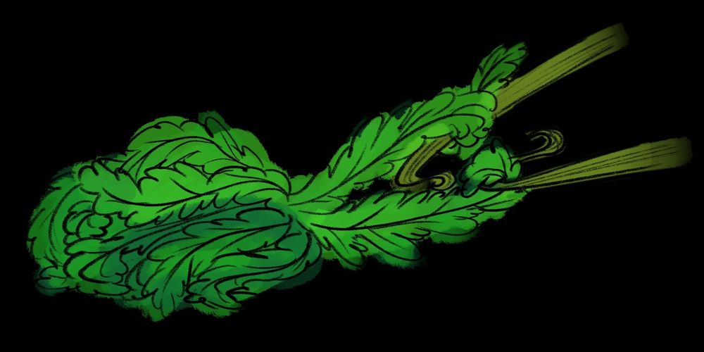 An illustration of a ball of fern tendrils tugging on the ends of stronger vines playfully.