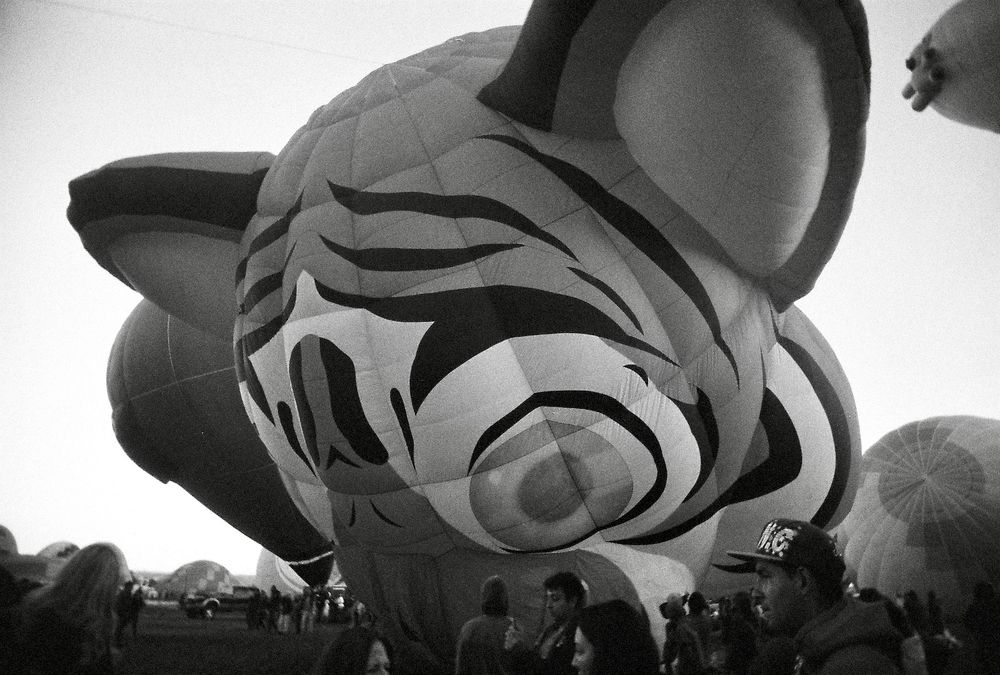 Black and white photo of a tiger hot air balloon about 3/4 inflated
