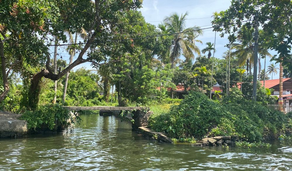 Photo of Alappuzha, the greenery is lush and roofs are red. The water is green underneath a small bridge canal.