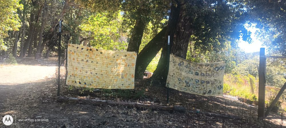 Two freshly printed pieces 