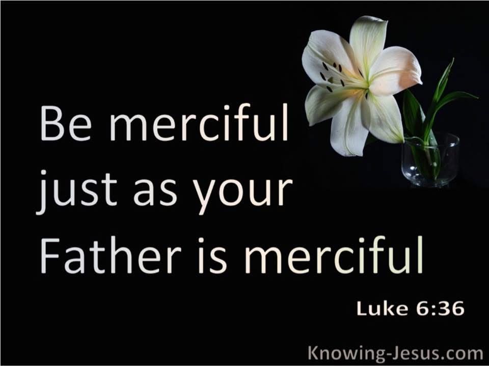 A Lilly beside the words of Luke 6:36
Be merciful just as your Father is merciful 