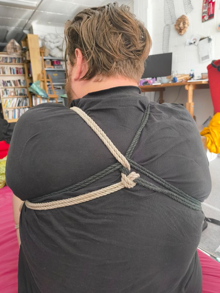 Foto von mir von hinten. Man sieht meinen Rücken und Hinterkopf. Shibari Seile laufen über meinen Rücken. Es ist impliziert, dass meine Hände vor der Brust gefesselt sind. 