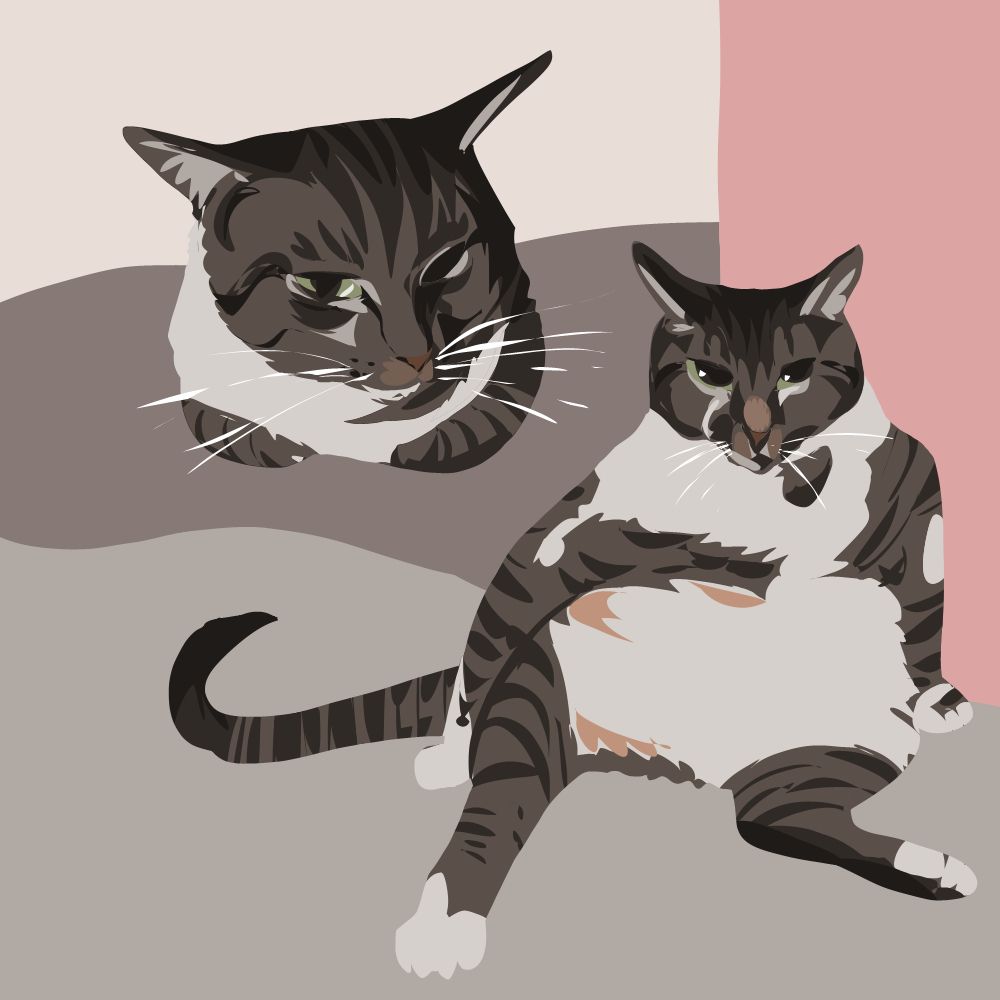 brown and grey tabby cat with green eyes, white bib and paws. a three quarters profile picture and the cat sitting almost like a human, belly showing. beige background with some pink accent