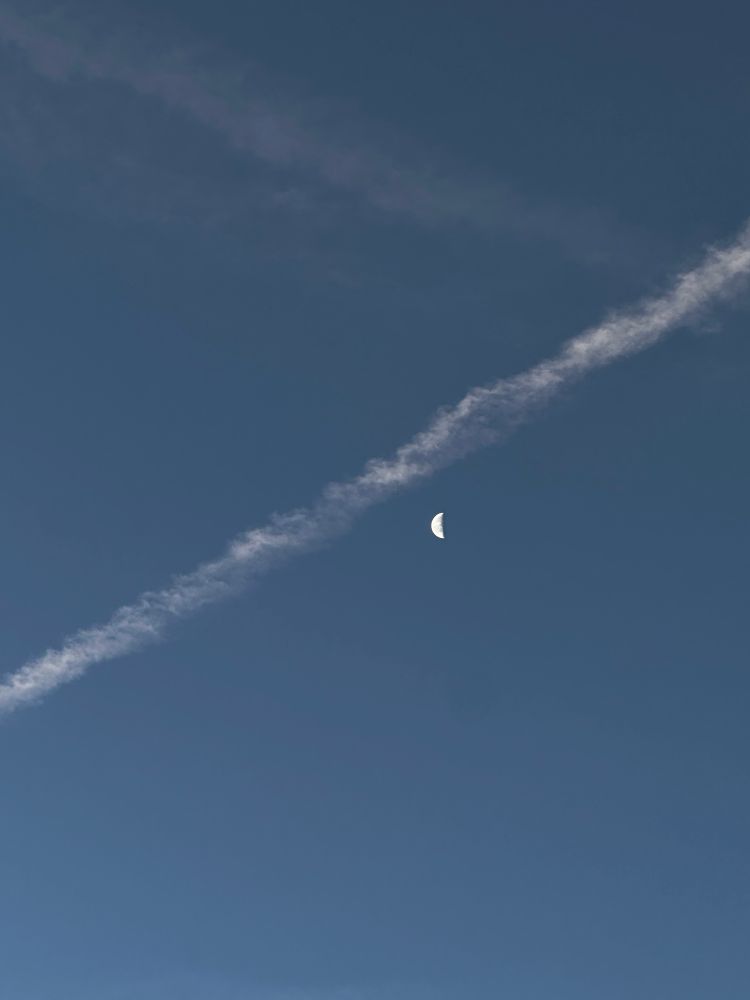 Luce naturale, mattino presto.
Non sono una fotografa, ma era talmente bella che gliel'ho dovuta dedicare!