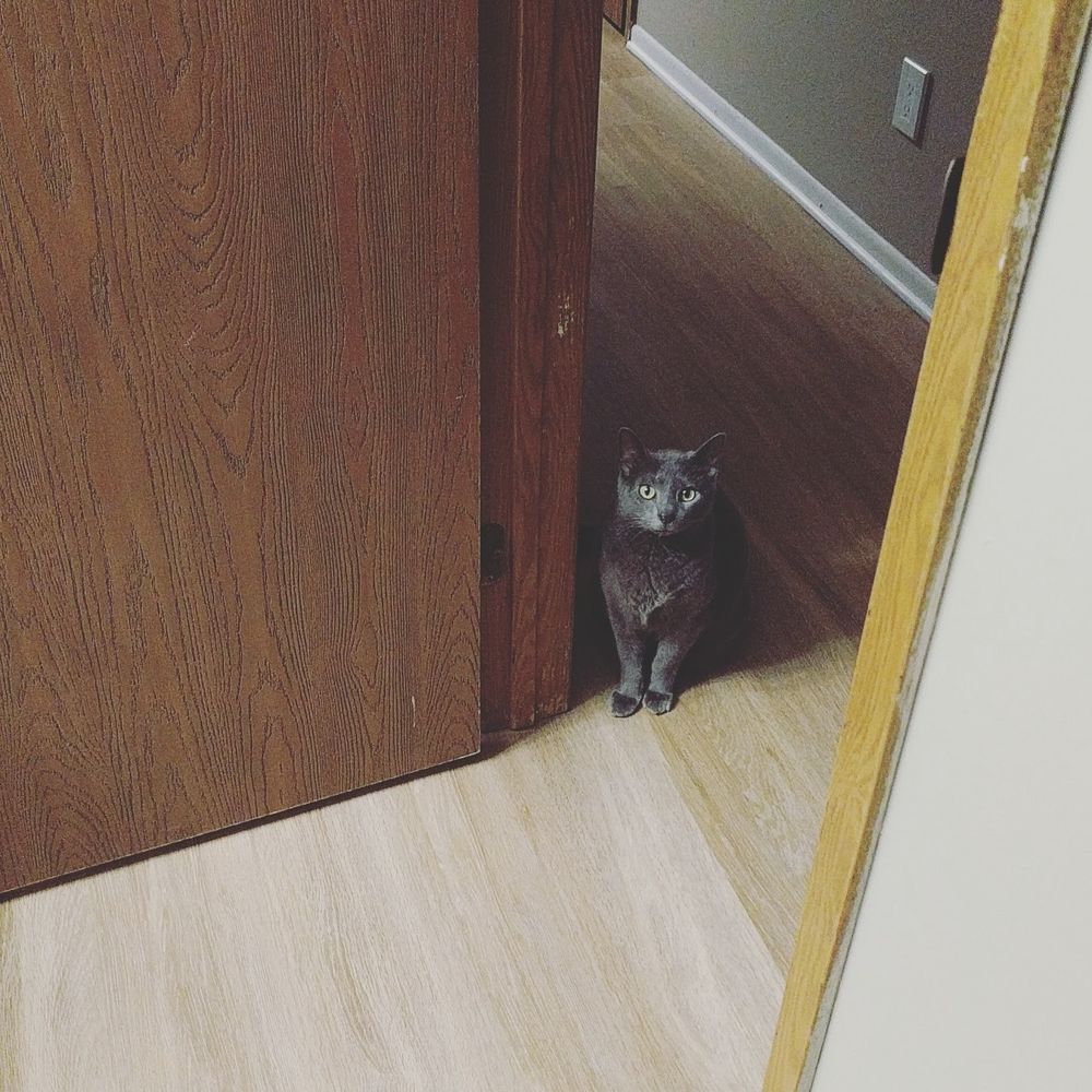 Rafael peeping at me from behind the door frame, watching me
