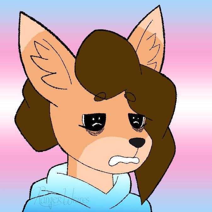 My kangaroo fursona, Ranger, looking quite tired with frowny faces as her pupils, but this time, in colour! The colours of the trans flag are in the background as well.