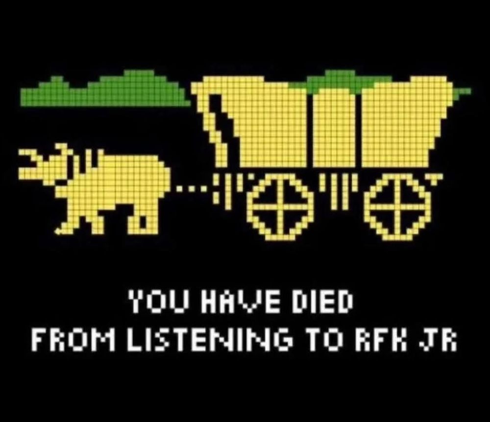 The die screen from Oregon Trail. 

It reads:

YOU HAVE DIED
FROM LISTENING TO RFK jr