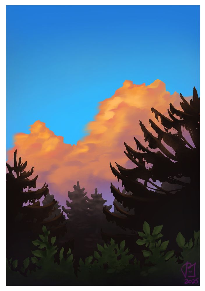 Landscape study with purple orange clouds some pines in the middle ground and bushes in the foreground 
