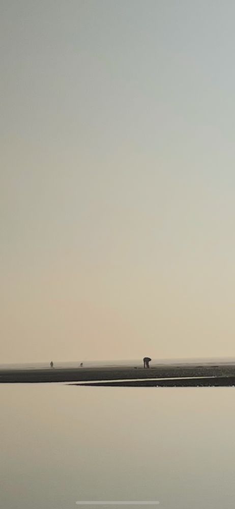 Men digging clams at low tide on Bexhill beach in Sussex England.  