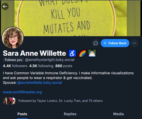 Screenshot of the account of user @amethystarlight who has 4.5k followers here and as you can see, follows me on here.