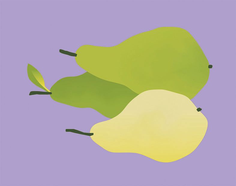 Forum Küche Logo Birnen