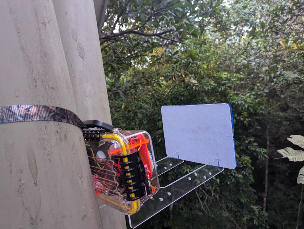 Mothbox hanging off side of tower