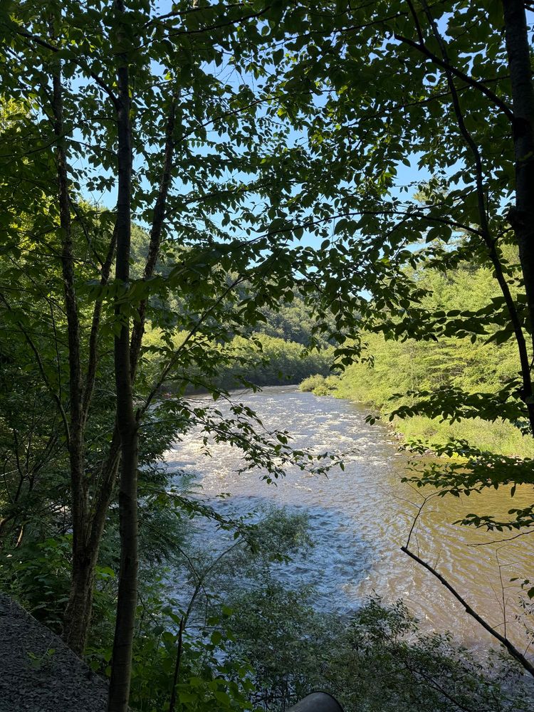 Lehigh River 