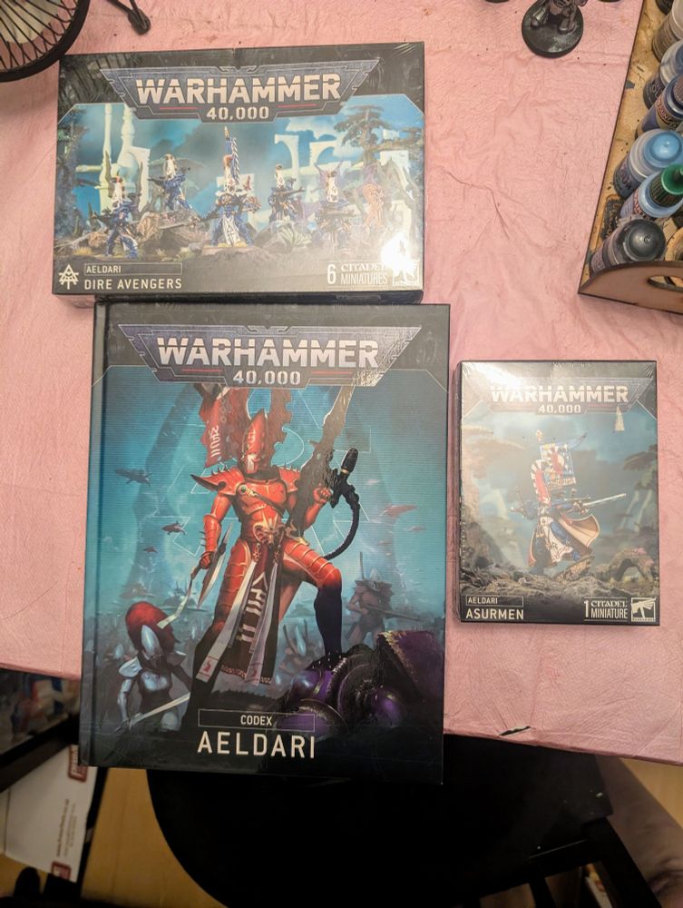 A photo of the Aeldari Codex and a box of Aeldari Dark Aspect Warriors and an Aeldari Asurman.