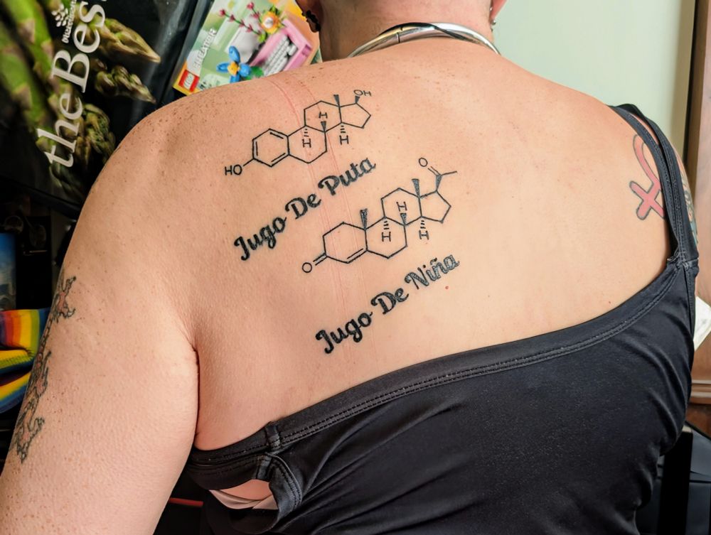 A photo of a tattoo on Jaz's back, on faer left shoulder blade.

At the top of the tattoo is the skeletal structural formula diagram of a progesterone molecule with the words "Jugo De Puta" below it.

Under that is the skeletal structural formula diagram of a 17-beta estradiol molecule with the words "Jugo De Niña" below it.