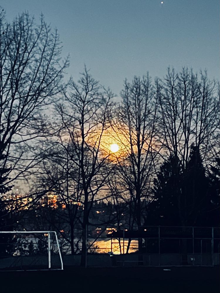 Full moon through bare limbs with moonlight reflecting off the water