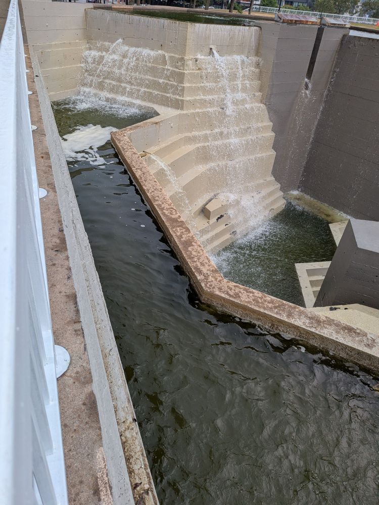 Closeup of the water in the fountain mentioned in the previous post in the thread. Image shows water that is a dark brown green and fairly opaque. In this image you can see a large patch of white foam floating on the water. You can also tell that the water is about two inches too low, meaning that most of the cascade isn't currently happening. 