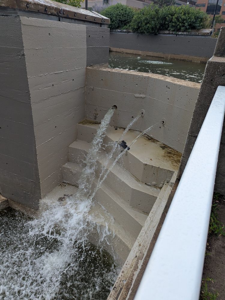 Closeup of the water in the fountain mentioned in the previous post in the thread. Image shows water that is a dark brown green and fairly opaque. In this image you can see buildups of filth, peeling paint, brown water, and very low water levels. The pool seen at the top of the image should be spilling over creating a cascade wall. 