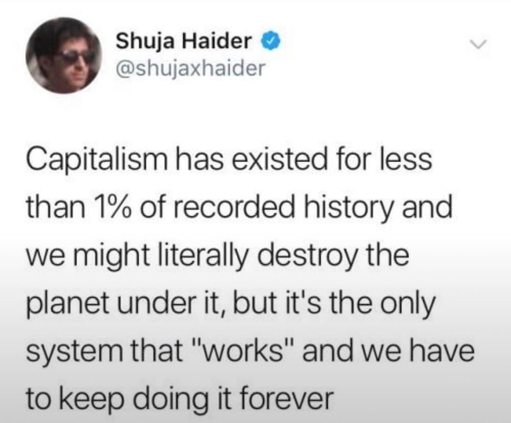 Screen shot showing tweet which reads, "Capitalism has existed for less than 1% of recorded history and we might literally destroy the planet under it, but it's the only system that "works" and we have to keep doing it forever."
