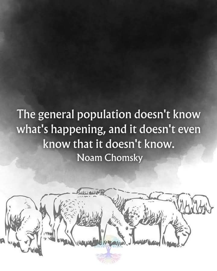general population doesn't know they don't know. noam chomsky