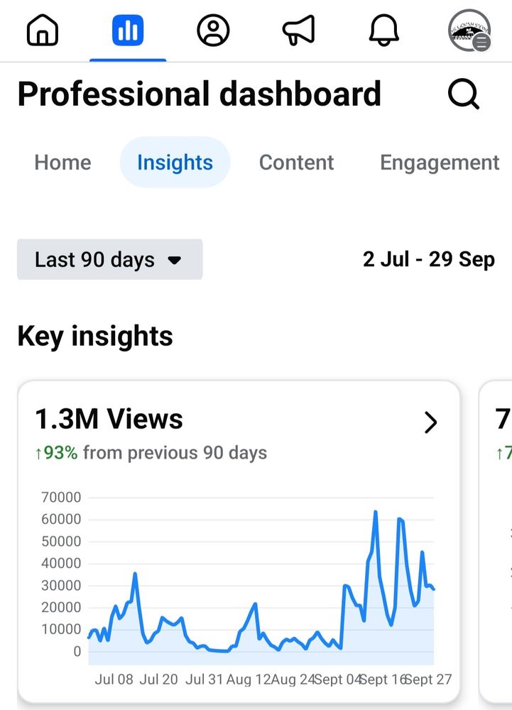 Facebook stats: 1.3m views over 90 days