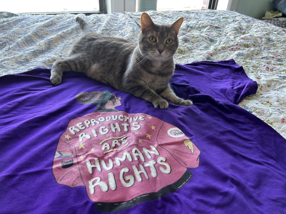 Gray striped cat laying on a purple T-shirt. On the T-shirt is a white person in a pink bomber jacket reading “reproductive rights are human rights”. There are small patches on their sleeves: a lightning bolt, a car, a Progress Pride flag, and the rePROs Fight Back logo. 